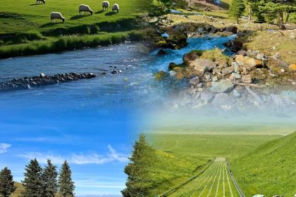 牧羊爷爷·新疆文化菜