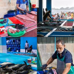 Citron by Lemongrass User Photo