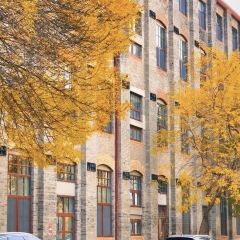 Jinmenzhangjibaozipu (huachangdao) User Photo