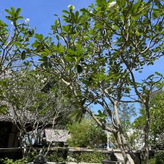 Ginja Taste User Photo