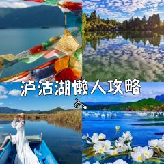 摩梭传统篝火晚会 User Photo