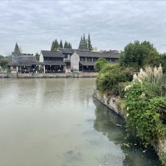 Wufangzhai (shendang) User Photo