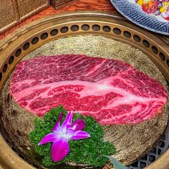 双子大阪烧肉(麓坊中心店) User Photo