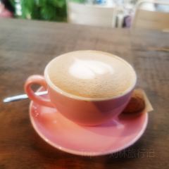 Still cafe User Photo