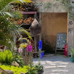 Solaria Yakiniku Wine House User Photo