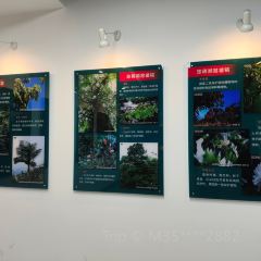 下鲁表山羊烧烤火锅店 User Photo