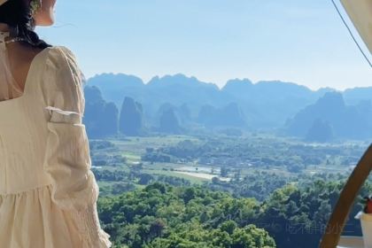 银峰农庄·特色烧鸡·鲜无花果浸鸡