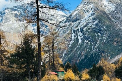 永利藏餐(马尔康八六藏餐分店)