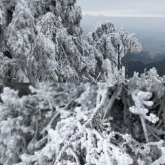 云冰山咖啡屋 User Photo
