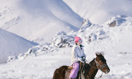 Xinjiang Horseback Riding