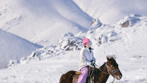 Xinjiang Horseback Riding