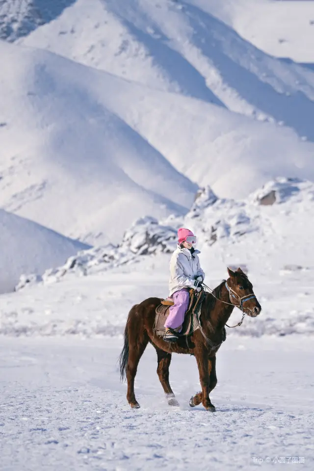 Xinjiang Horseback Riding