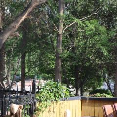 Hide&Seek User Photo