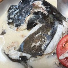 全乐鱼馆·淳牌有机鱼直营店 User Photo