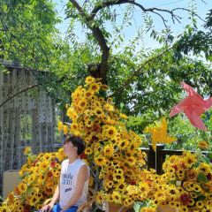 介个院子·草坪团建·围炉冰粉 User Photo
