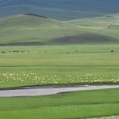 子昱饭店 User Photo