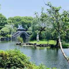 無錫魯能萬豪飯店·萬豪中餐廳張用戶圖片