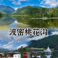 鲁朗石锅城·松茸天麻石锅鸡 User Photo