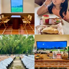 塘口文园小馆 User Photo