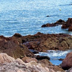 FU QI TUO TUO User Photo