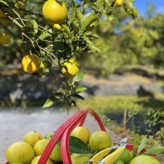 明味生態農莊張用戶圖片