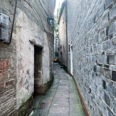 SHANGXILEICHA User Photo