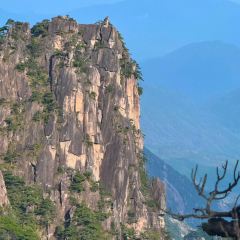 秀嫂挞粿 User Photo