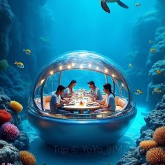 SURF GRAVITY User Photo