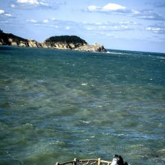 咱妈家·海菜包子(长峰店) User Photo