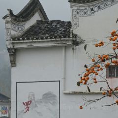 Sage Hall Homestay User Photo