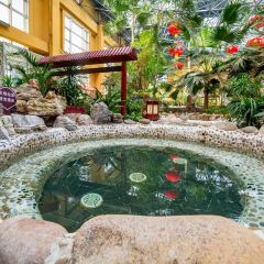 JUDINGTANJIACAI User Photo