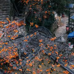 拾光餐集(东壁村店) User Photo