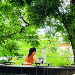 ThaiWan-Thai灣(ไทยหวัน) User Photo