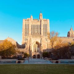 Nine Tastes User Photo