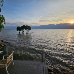 阿凯缇娅·安止樱落海景度假酒店·一间海景餐厅 User Photo