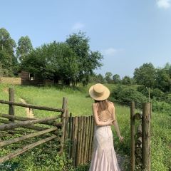 羊圈餐厅 User Photo
