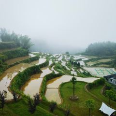 永和魚館張用戶圖片