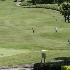 山間·融合料理張用戶圖片