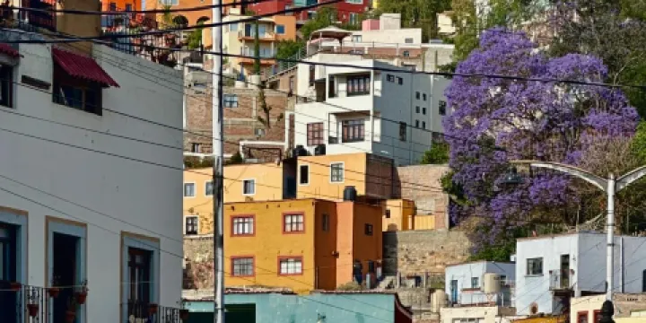 Bar Tradicional Luna