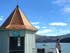 Akaroa Fish and Chips