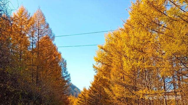 Xiangshuiyuan Scenic Area