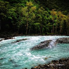 丙中洛云野·见江·餐厅 User Photo