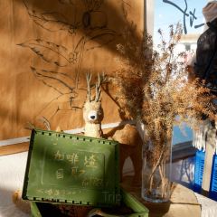 六月瓣咖啡 User Photo