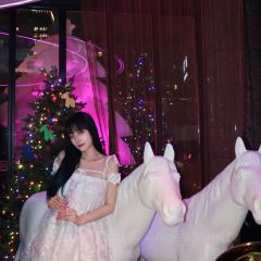 MAX SHANGHAI User Photo