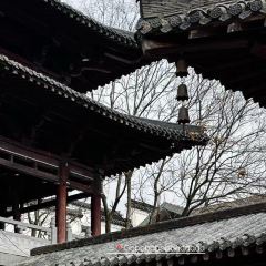 老裴鸭头.兔头 User Photo