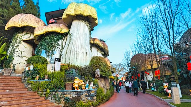 yang guang gu lv you du jia qu