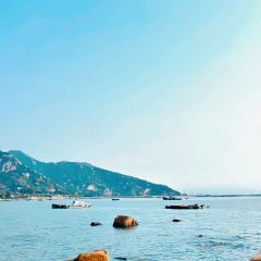 海边有棵树 여행 사진