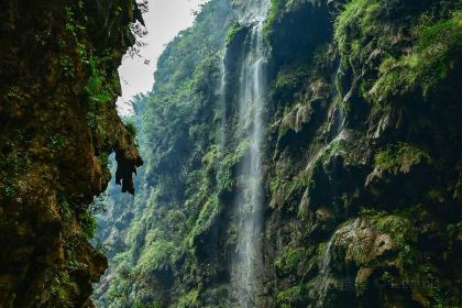 顶素小吃烫皮牛肉馆