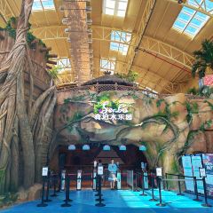 嘉兴开元森泊度假酒店·森灵岩洞餐厅 User Photo