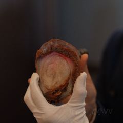 The Grand Boat User Photo